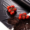 Acolchado para huerto film de polietileno ancho 1 metro perforado galga 200 perforado especial cultivo de tomates - bricoloco.com25 metros
