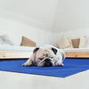 Alfombrilla refrescante para mascotas 90x50. Efecto refrescante varias horas por contacto corporal. - bricoloco.com