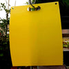Atrapa insectos cromático amarillo 20x25 cm especial mosca blanca, olivo y fruta. Pack 20 uds. - bricoloco.com