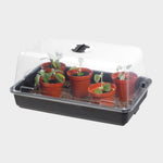 Bandeja de cultivo y Cubierta de Germinador de semillas 38x24x13cms. |