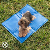 Cama esterilla portátil de perro relax refrigerante mascotas. Alfombra refrescante perro - bricoloco.com