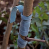 Gomas de injertar elásticas. Goma en cinta flexiband para injertos manuales en árboles, frutales, plantas, sin máquina injertadora. Sustituye la cuerda - bricoloco.com140x6 mm.