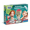 Juego educativo infantil anatomía en español. Regalo navidad, cumpleaños, comunión. Modelo anatómico cerebro. - bricoloco.com