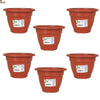 Lote 6 macetas plastico pequeñas para interior o exterior. Color marrón terracota. Para balcón, patio, jardín, bonsái, orquídea, plantas, huerto. - bricoloco.com14 cms.