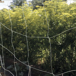 Malla soporte plantas entutorado interior o exterior. Biodegradable, compostable y ecológica. Uso con tutor en huerto o jardín. Red trepadoras.