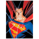 Puzzle Superman. Puzzle de 1000 piezas.